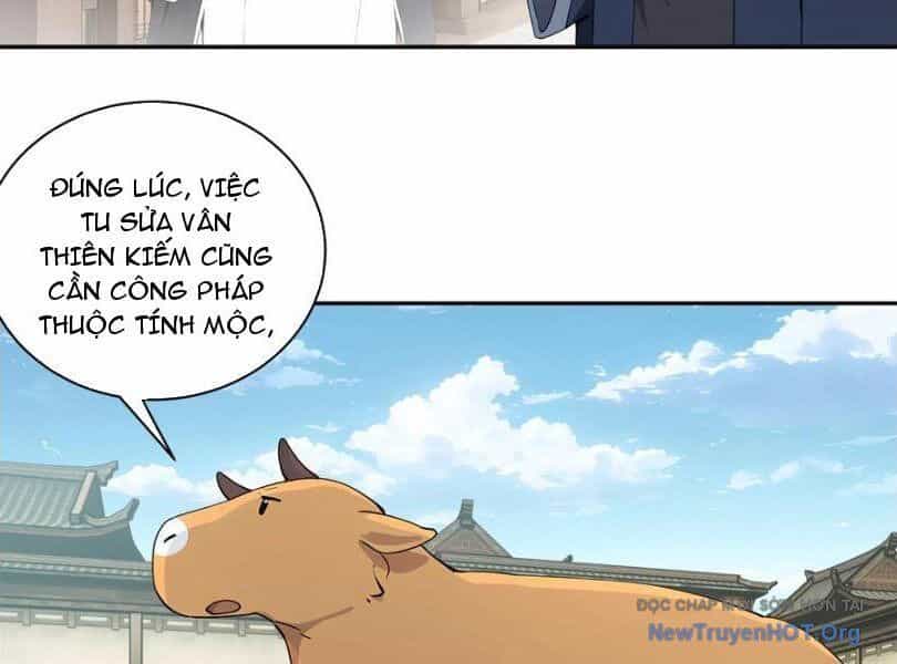 Bách Thê Phổ: Thánh Nữ Đều Gọi Ta Là Phu Quân - Chương 66 - ảnh 9