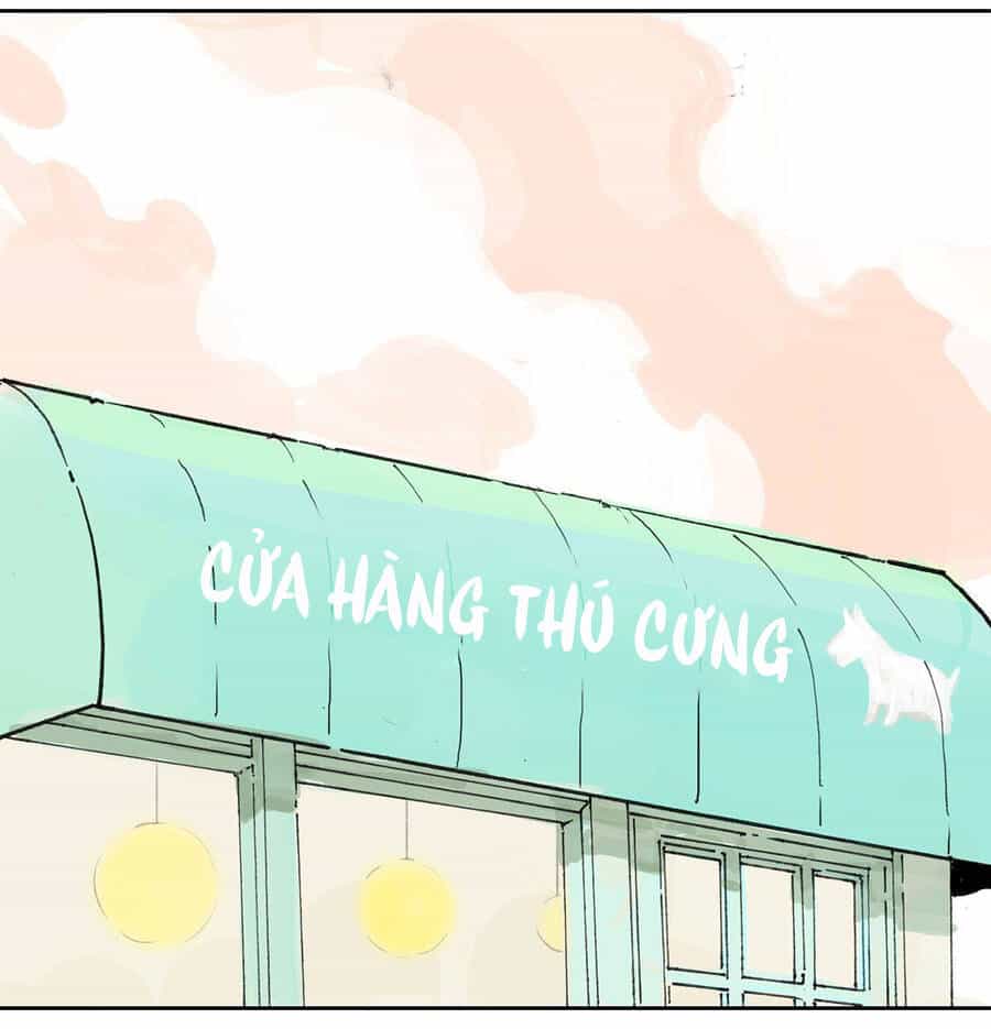 Bạn Cùng Lớp Tôi Đều Kỳ Lạ - Chương 4 - ảnh 42