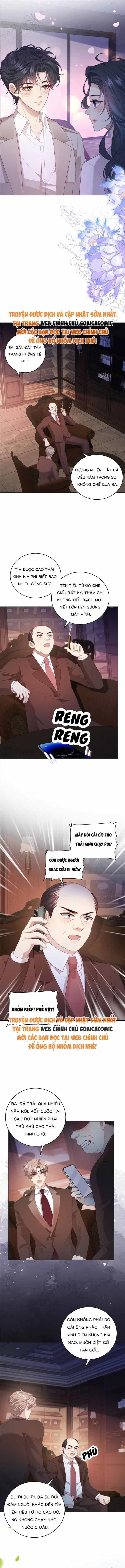 Bạn Gái Giả Ngốc Của Chủ Tịch - Chương 36 - ảnh 4