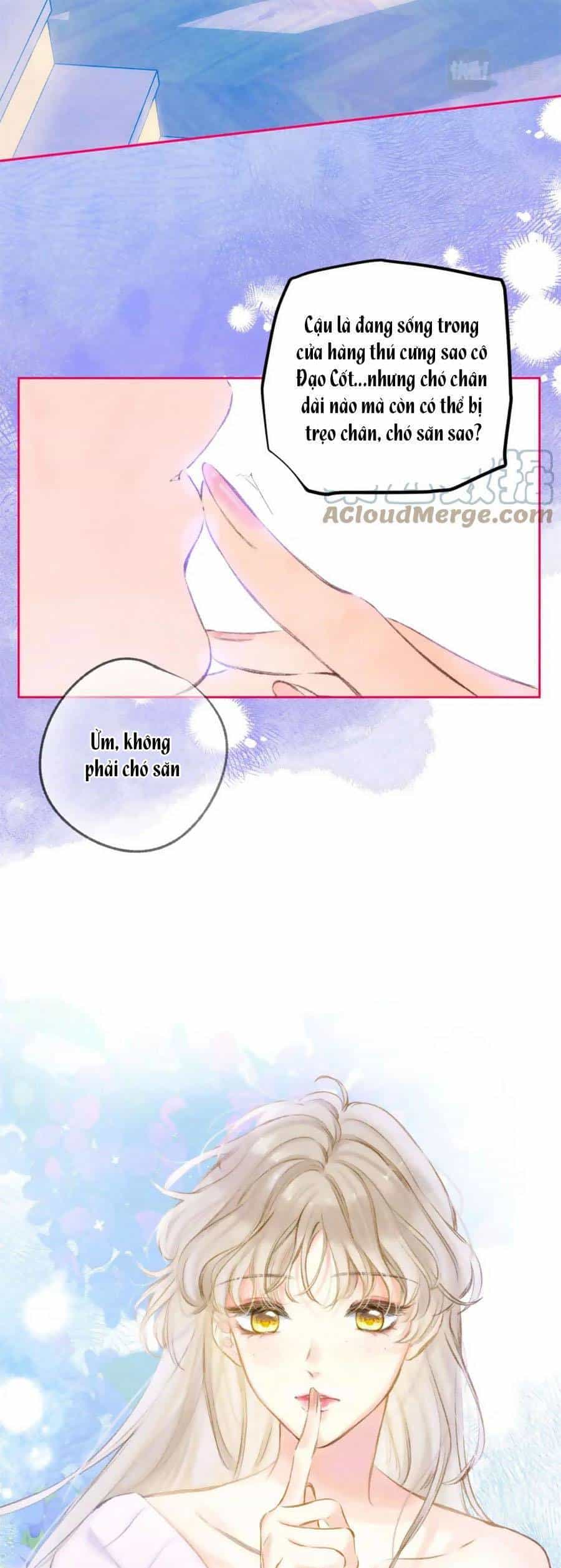 Bạn Gái Tôi Ấm Áp Tựa Như Xương Rồng Nở Hoa - Chương 23 - ảnh 24
