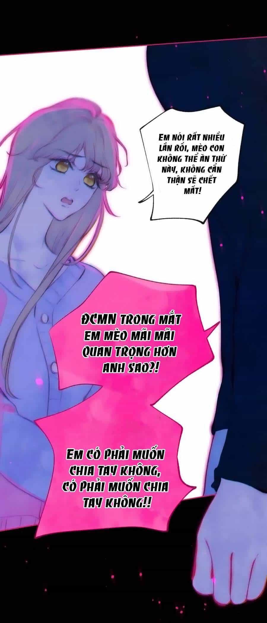 Bạn Gái Tôi Ấm Áp Tựa Như Xương Rồng Nở Hoa - Chương 39 - ảnh 16