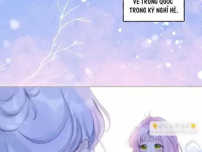 Bạn Gái Tôi Ấm Áp Tựa Như Xương Rồng Nở Hoa - Chương 69 - ảnh 5