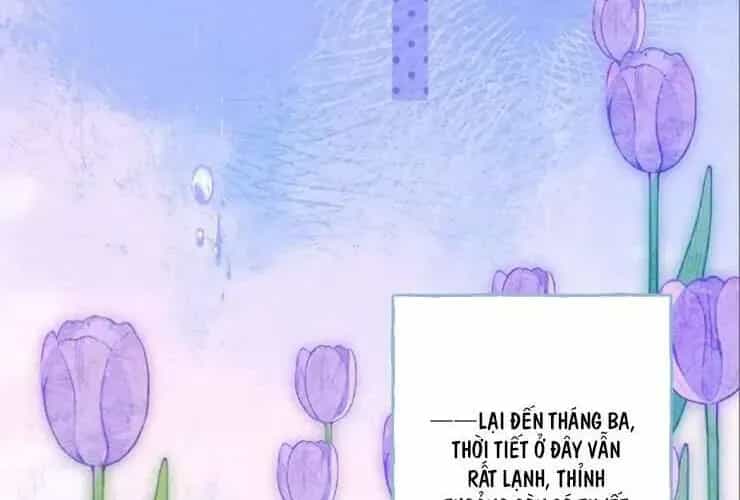 Bạn Gái Tôi Ấm Áp Tựa Như Xương Rồng Nở Hoa - Chương 70 - ảnh 100