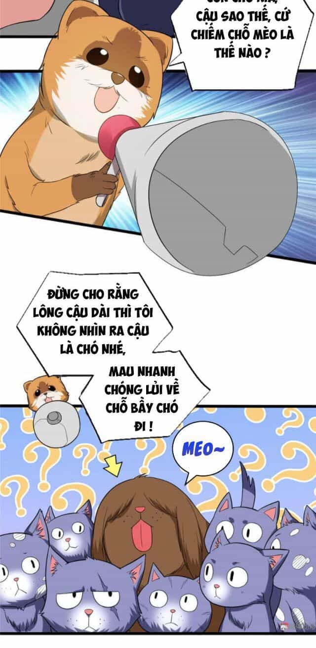 Bạn Gái Tôi Không Phải Người - Chương 109 - ảnh 23