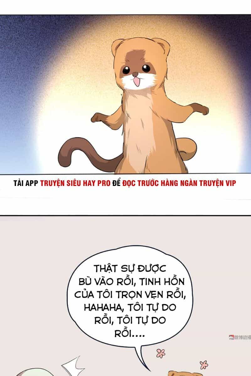 Bạn Gái Tôi Không Phải Người - Chương 79 - ảnh 26