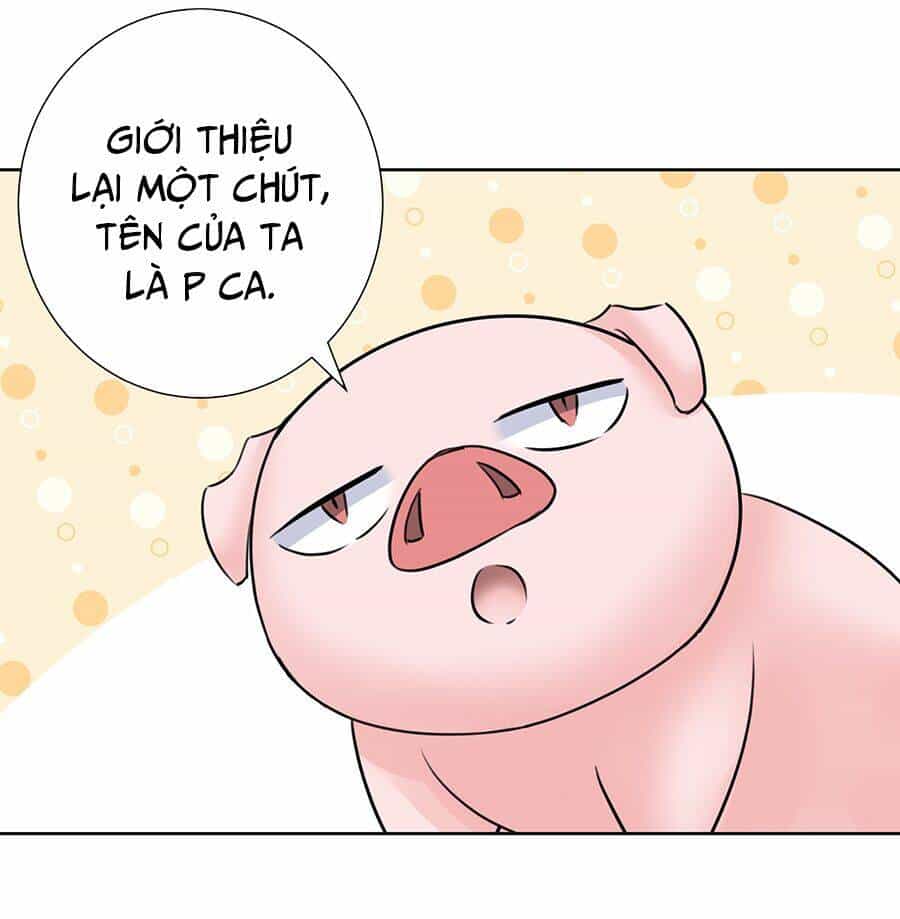 Bản Giáo Chủ Thân Bất Do Kỷ - Chương 35 - ảnh 50
