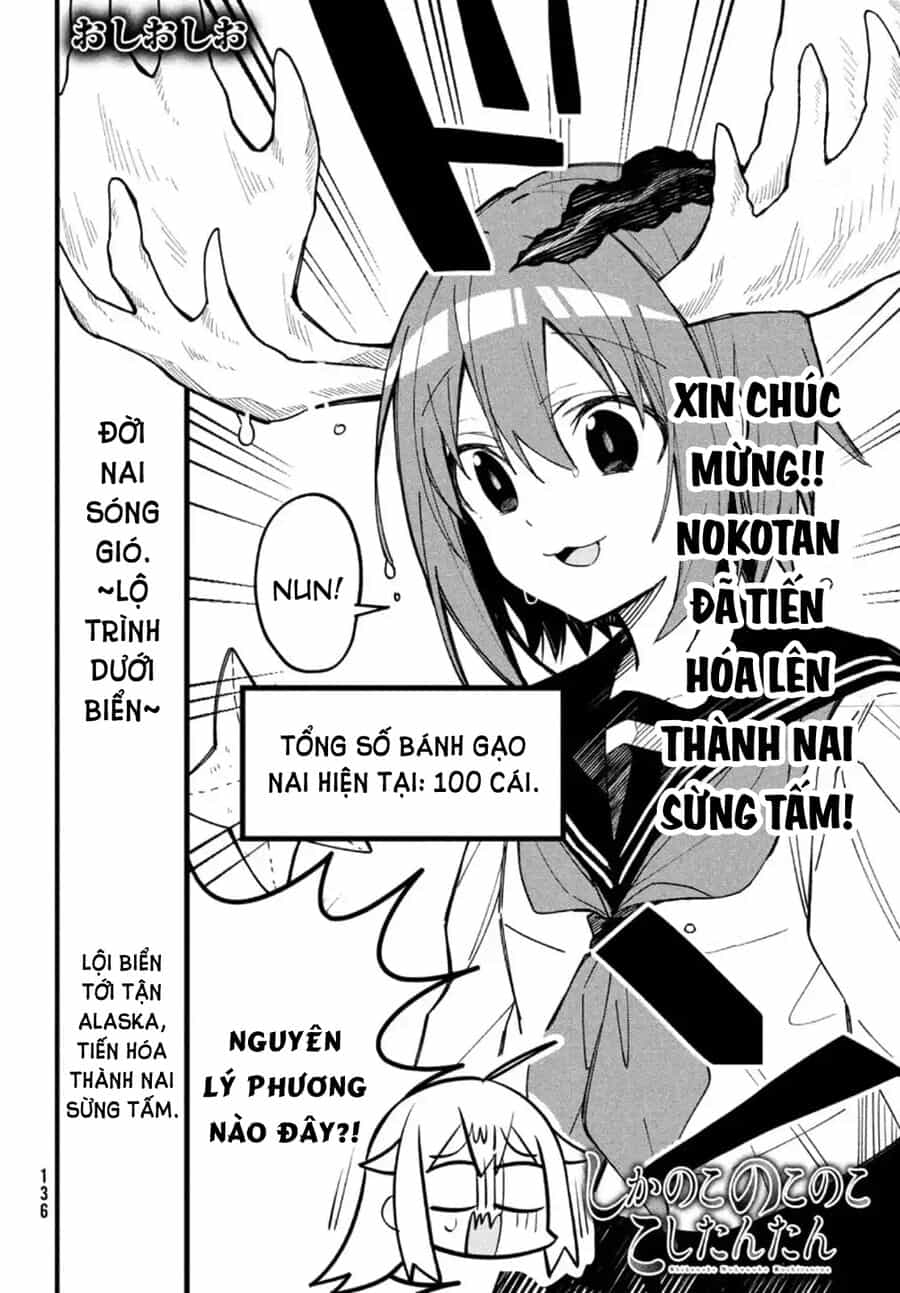 Bạn Nai Nokotan Của Tôi - Chương 14 - ảnh 3
