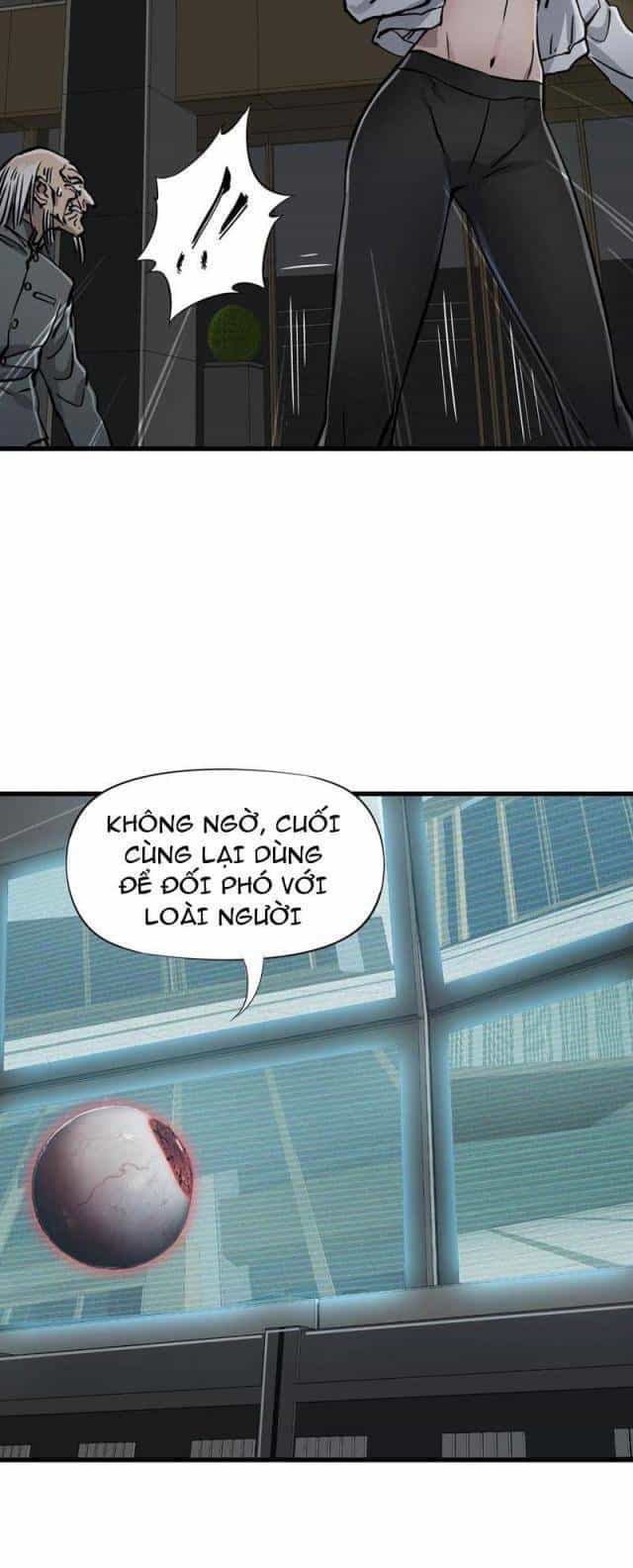 Bàn Tay Thần Thánh - Chương 23 - ảnh 11