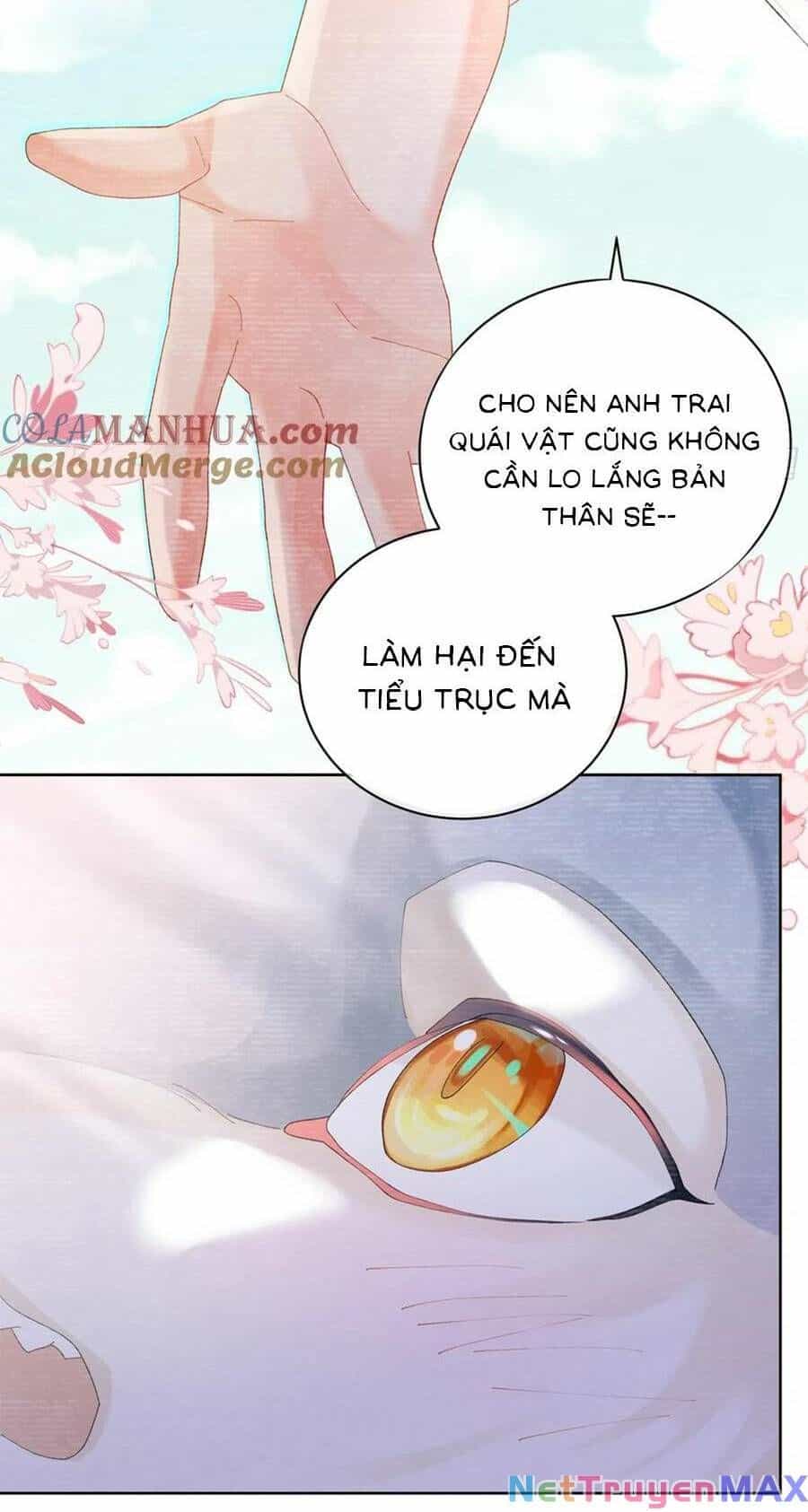 Bạn Trai Hóa Thú Của Tôi - Chương 8 - ảnh 16
