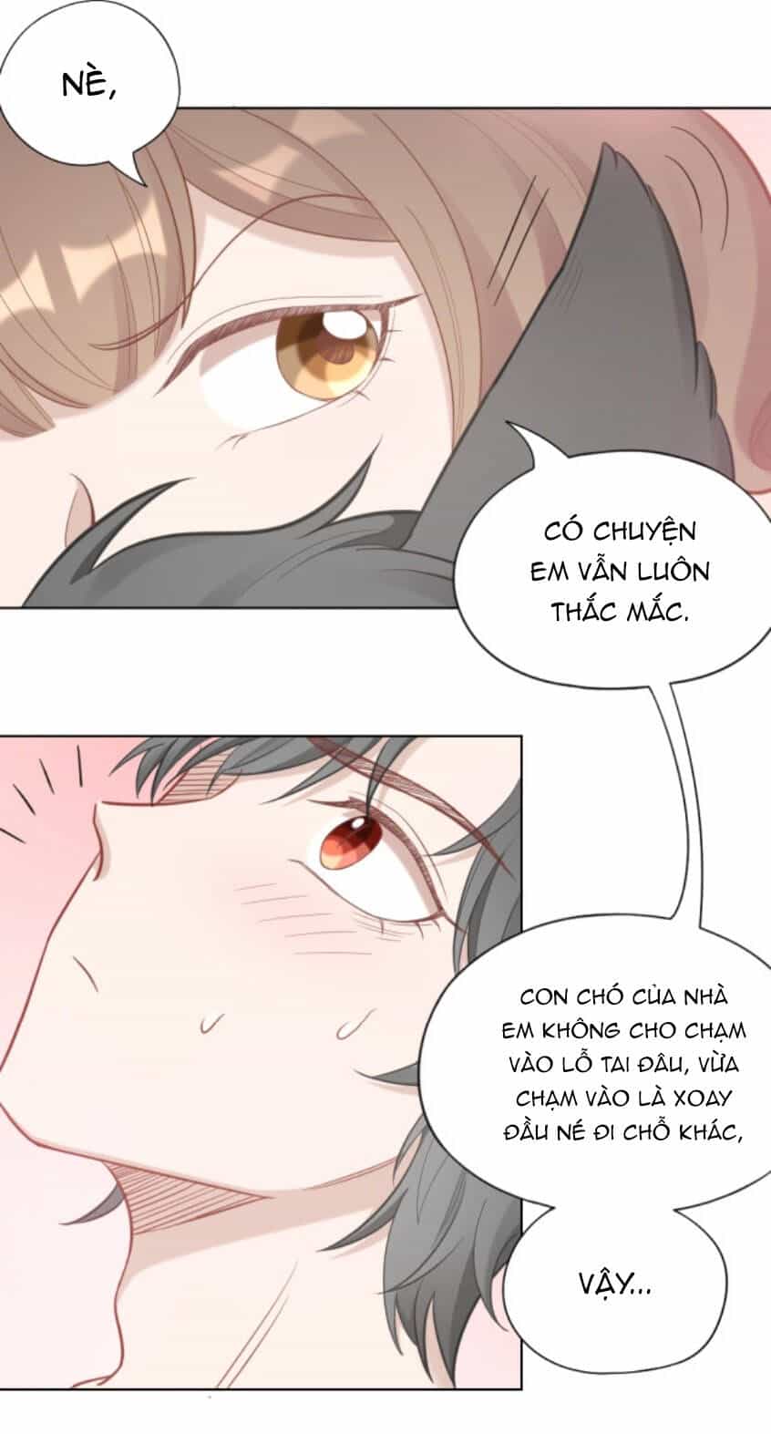 Bạn Trai Là Quái Vật - Chương 91 - ảnh 26