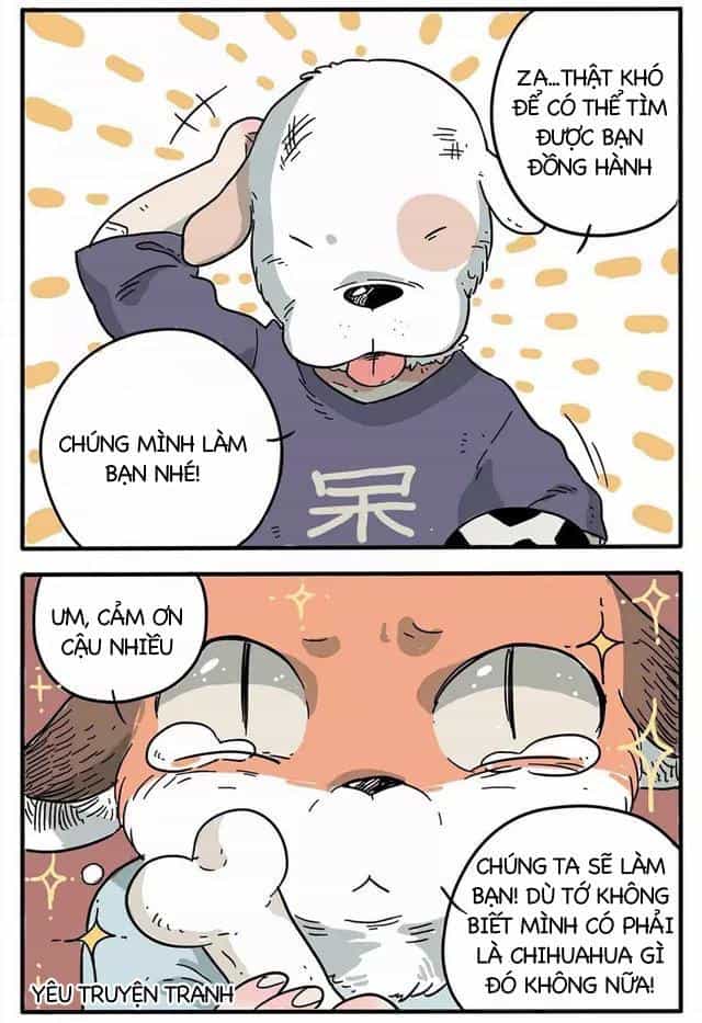 Bạn Trai Tôi Là Cáo Cam - Chương 1 - ảnh 8