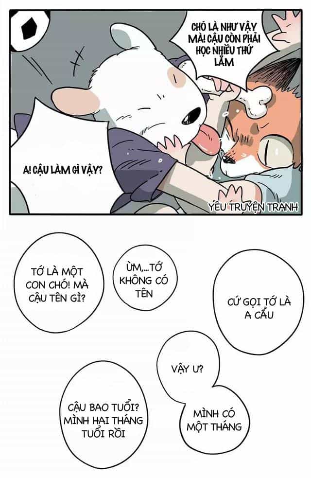 Bạn Trai Tôi Là Cáo Cam - Chương 1 - ảnh 9