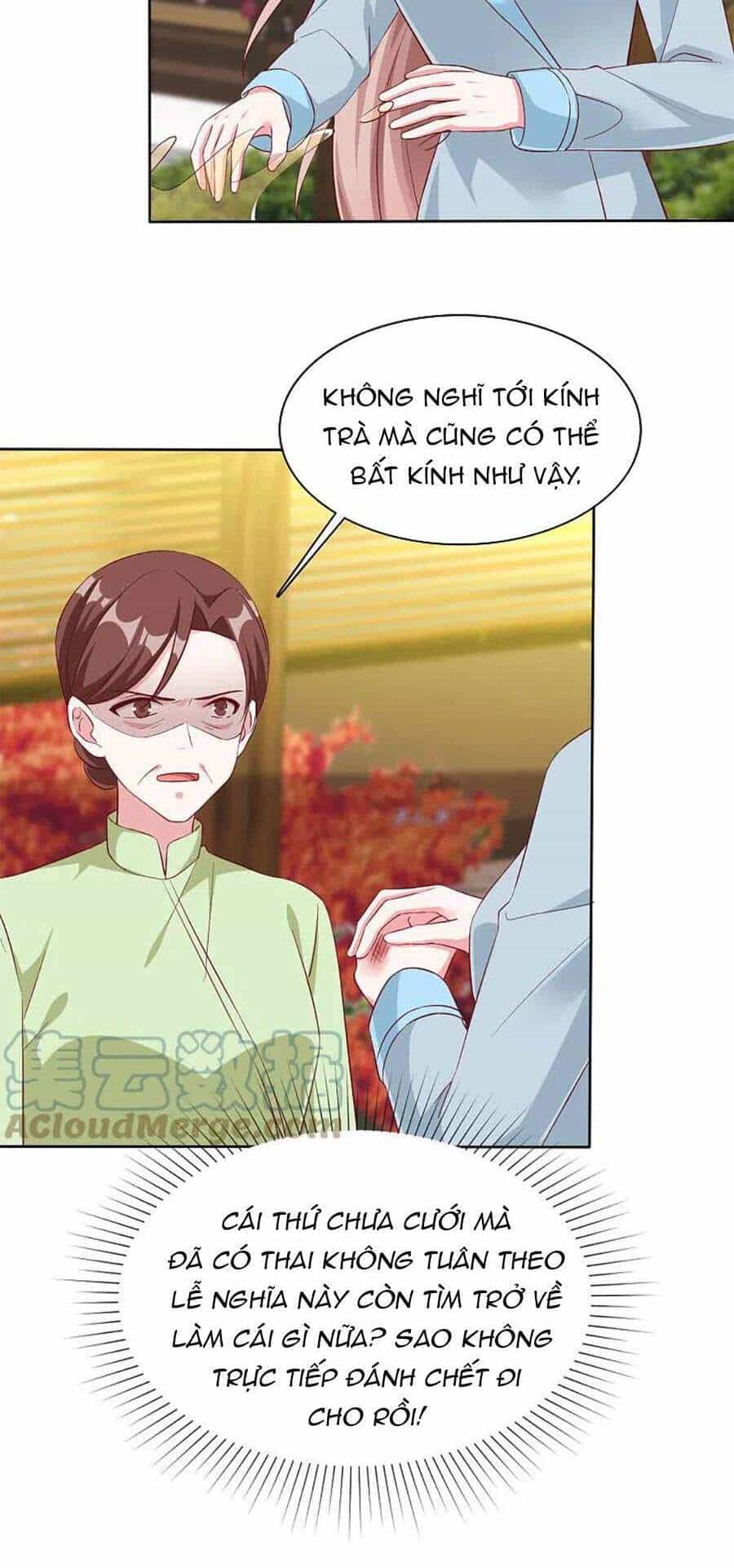 Băng Sơn Tổng Tài Sủng Thê Đến Vô Đạo - Chương 202 - ảnh 10