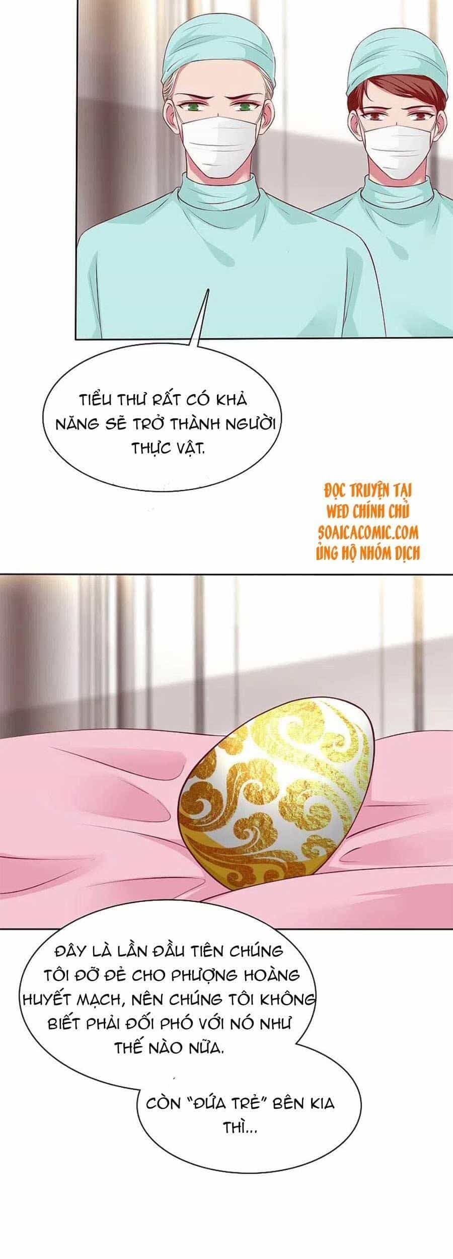 Băng Sơn Tổng Tài Sủng Thê Đến Vô Đạo - Chương 214 - ảnh 4