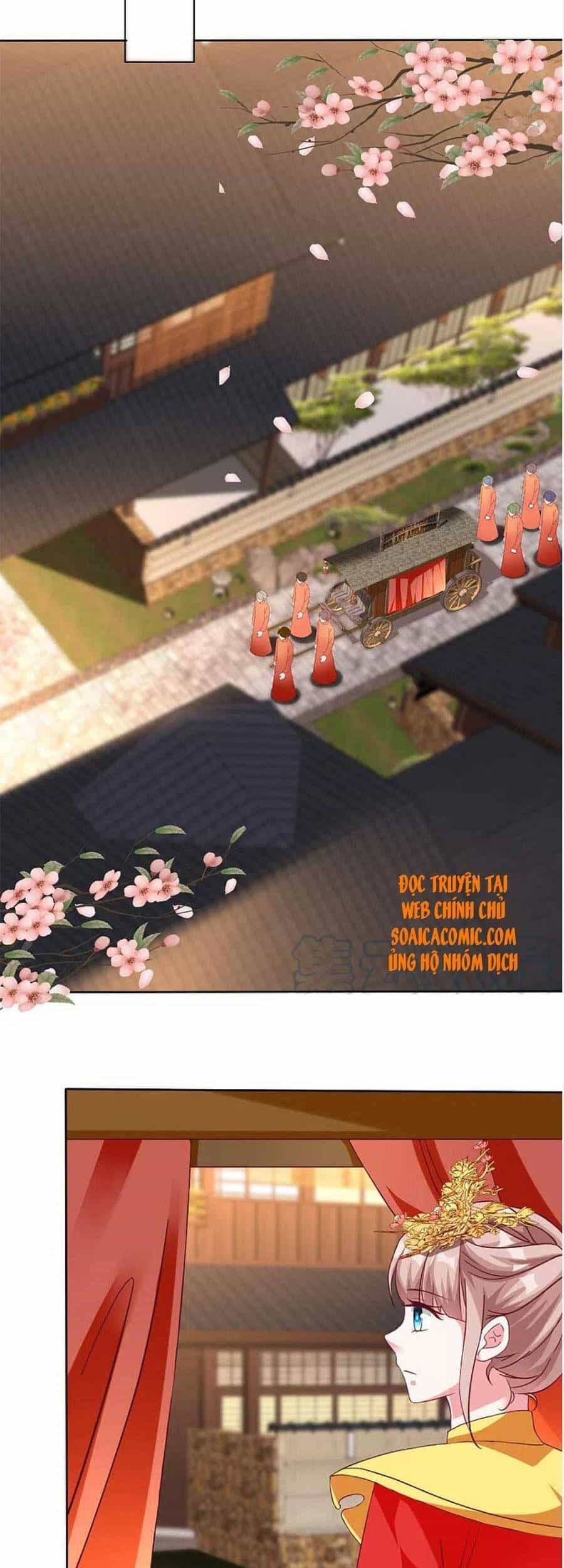 Băng Sơn Tổng Tài Sủng Thê Đến Vô Đạo - Chương 217 - ảnh 17
