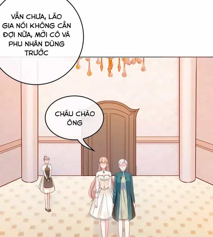 Băng Sơn Tổng Tài Sủng Thê Đến Vô Đạo - Chương 29 - ảnh 17