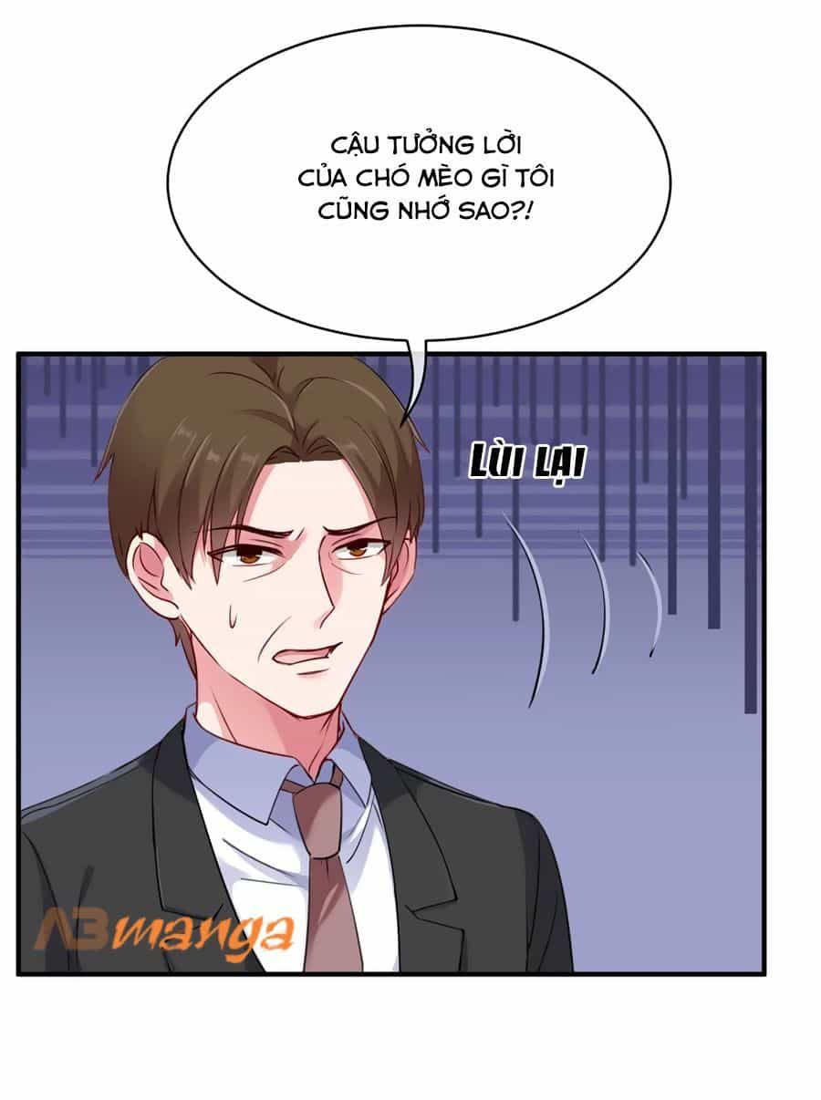 Băng Sơn Tổng Tài Sủng Thê Đến Vô Đạo - Chương 6 - ảnh 11