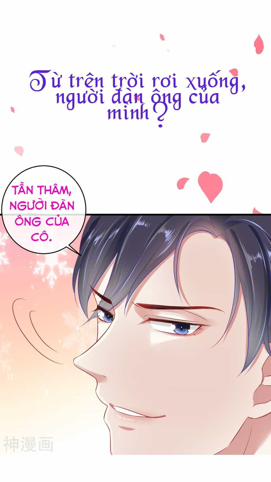 Băng Sơn Tổng Tài Sủng Thê Vô Độ - Chương 1 - ảnh 11