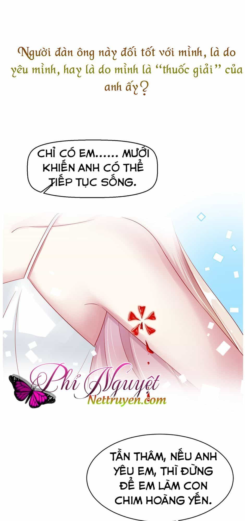 Băng Sơn Tổng Tài Sủng Thê Vô Độ - Chương 1 - ảnh 26