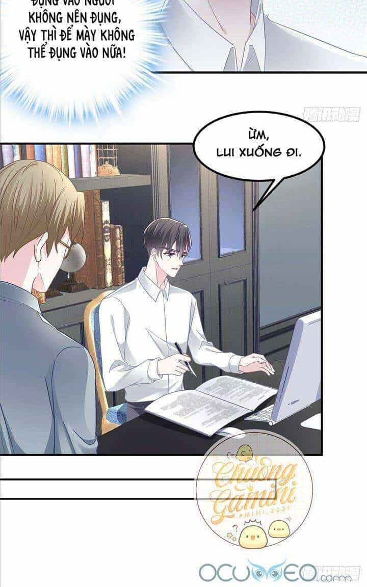 Bảo Bối Của Lão Đại Đã Xuyên Không Trở Về! - Chương 13 - ảnh 22