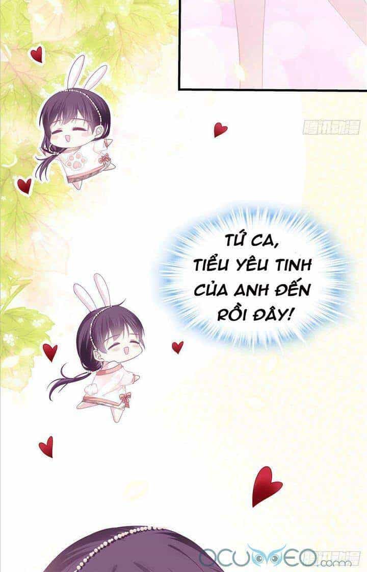 Bảo Bối Của Lão Đại Đã Xuyên Không Trở Về! - Chương 9 - ảnh 5