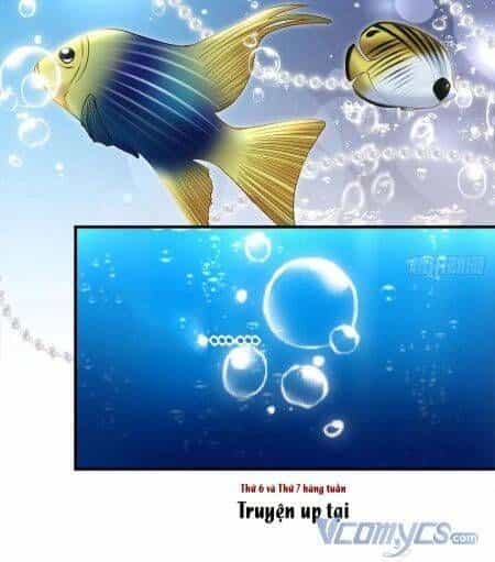 Bảo Bối Tâm Gan Của Lão Đại Xuyên Không Trở Lại Rồi - Chương 63 - ảnh 15