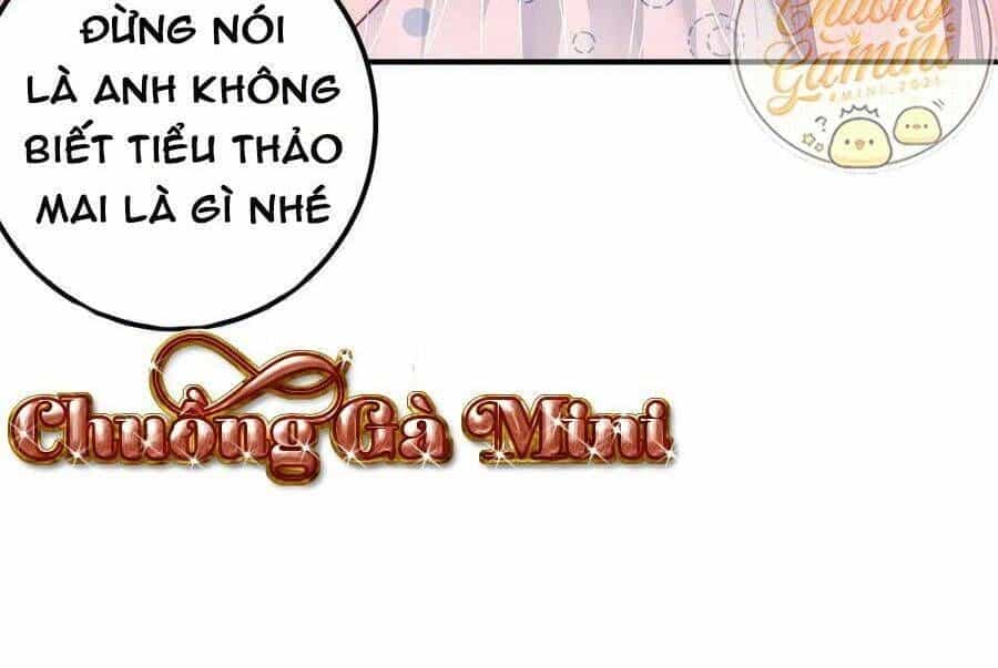Bảo Bối Tâm Gan Của Lão Đại Xuyên Không Trở Lại Rồi - Chương 77 - ảnh 124