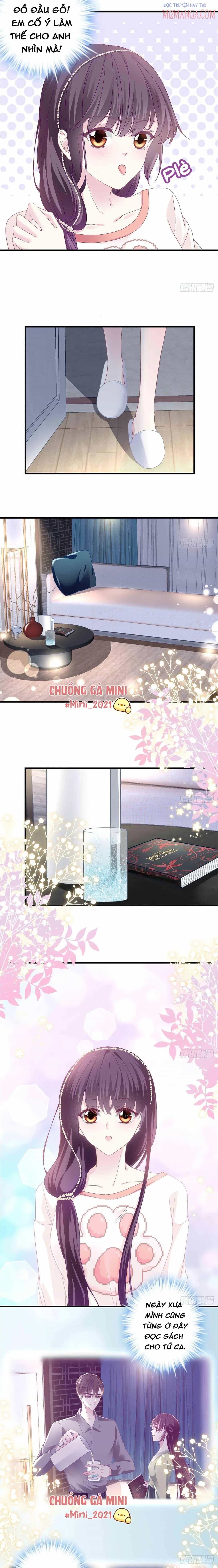 Bảo Bối Tâm Gan Của Lão Đại Xuyên Không Trở Lại Rồi - Chương 9 - ảnh 7