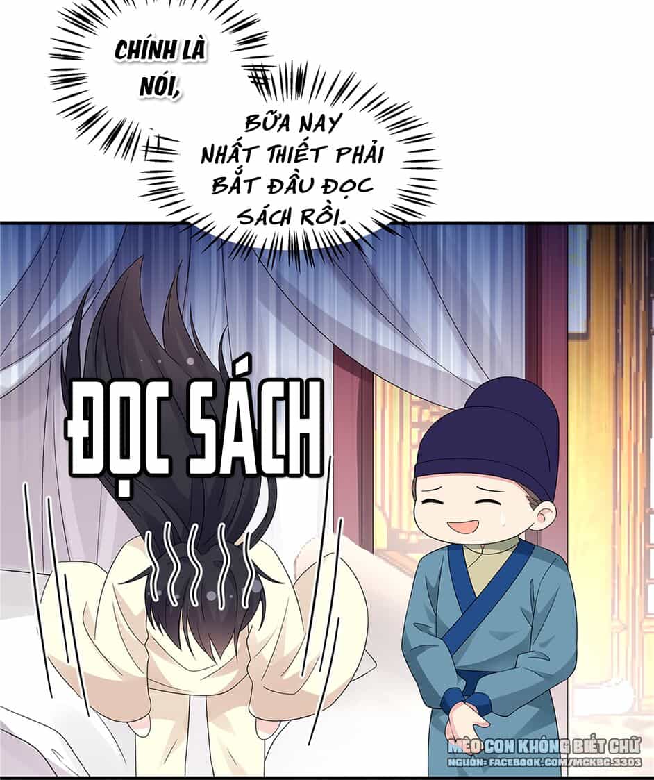 Báo Cáo! Đế Quân Ngài Có Độc! - Chương 26 - ảnh 24