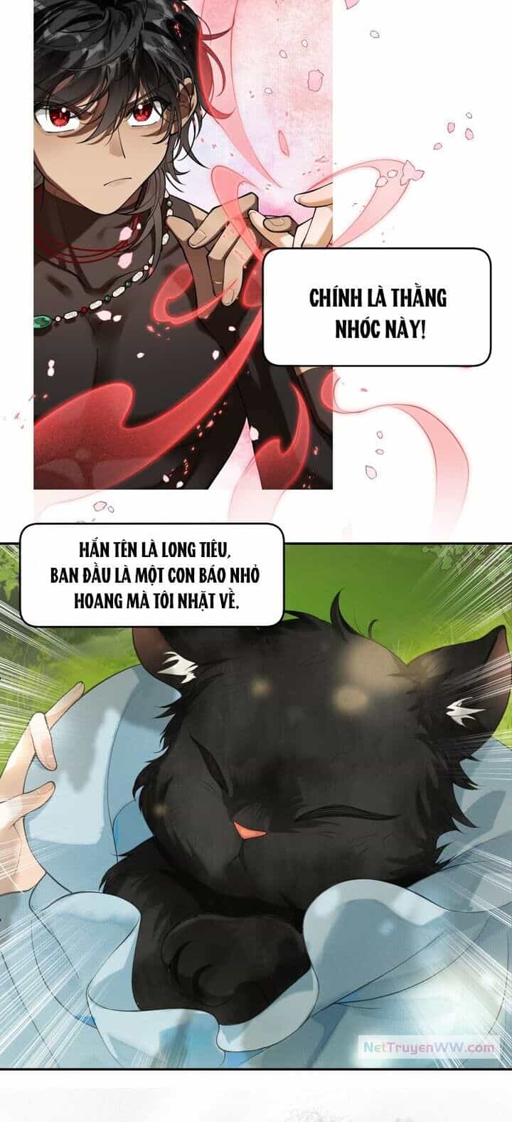 Báo Đen Nhỏ, Cùng Đi Thi Nào! - Chương 1 - ảnh 6
