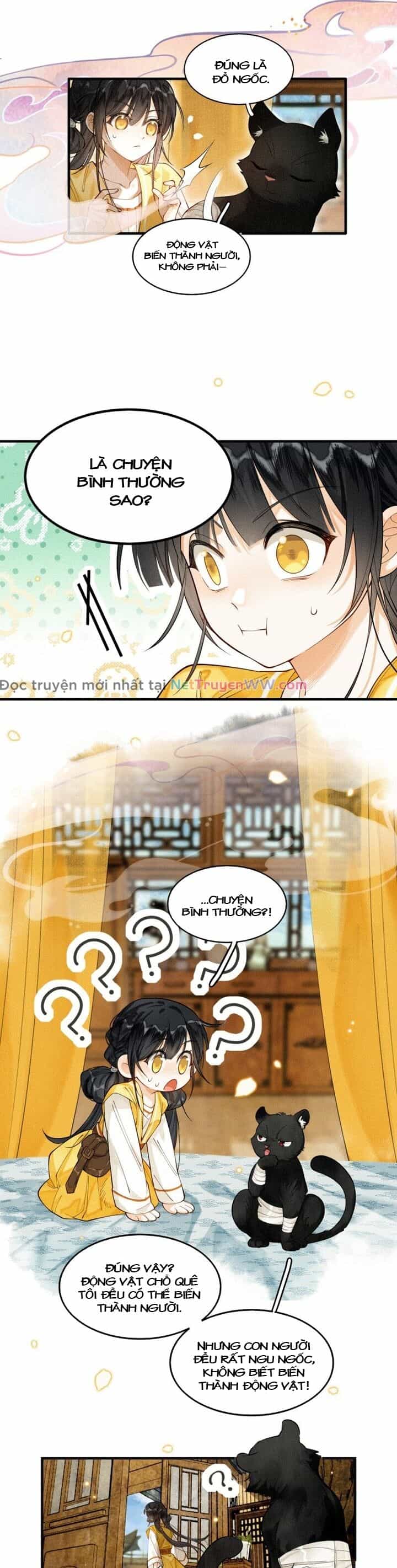 Báo Đen Nhỏ, Cùng Đi Thi Nào! - Chương 2 - ảnh 22
