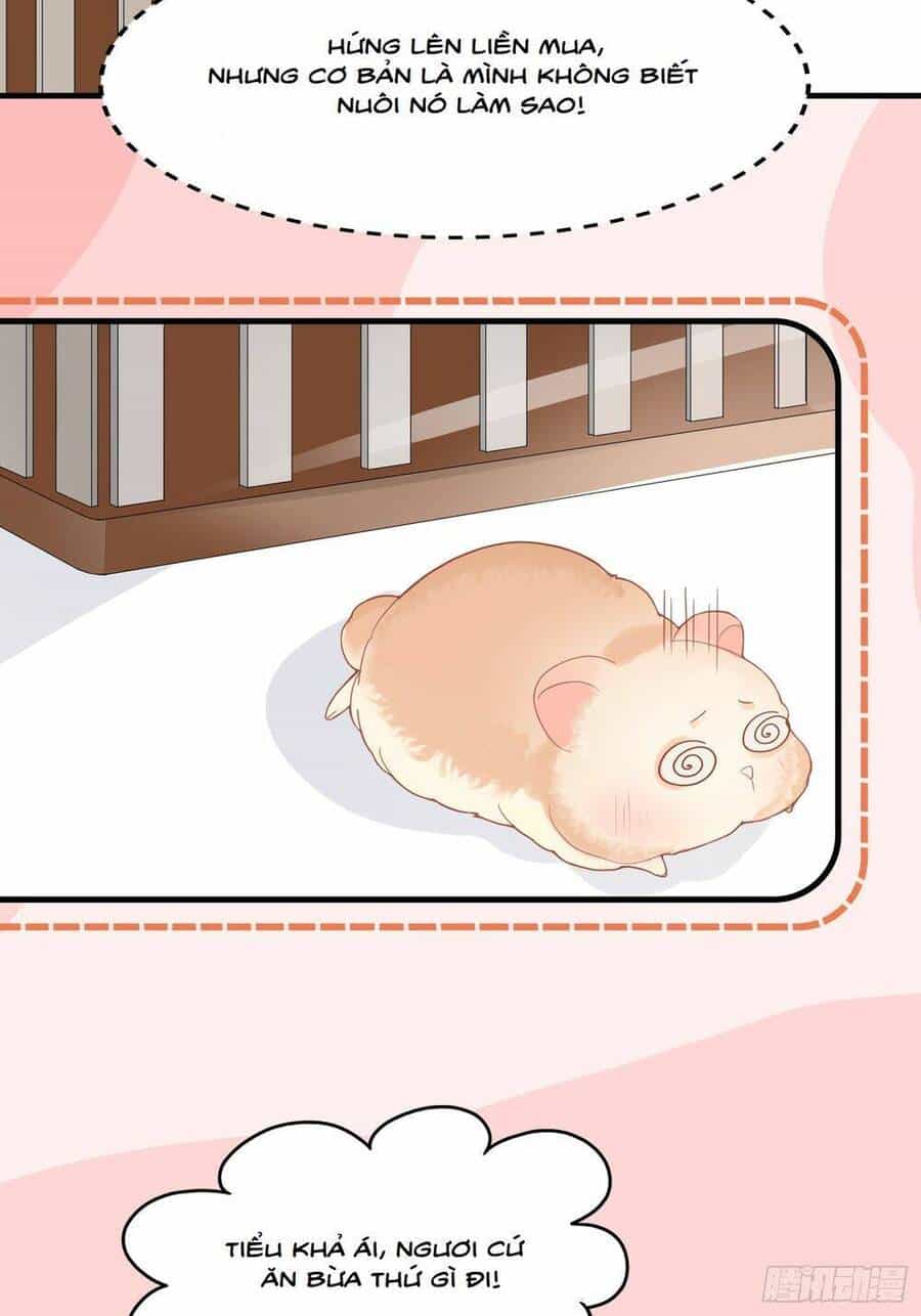 Bảo Điển Tình Yêu Của Hamster - Chương 1 - ảnh 13