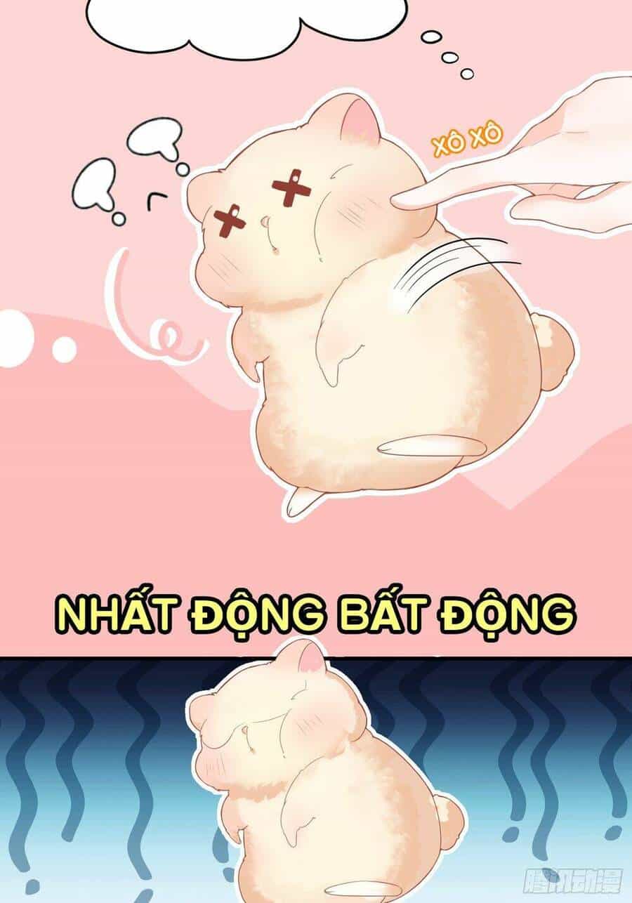 Bảo Điển Tình Yêu Của Hamster - Chương 1 - ảnh 14