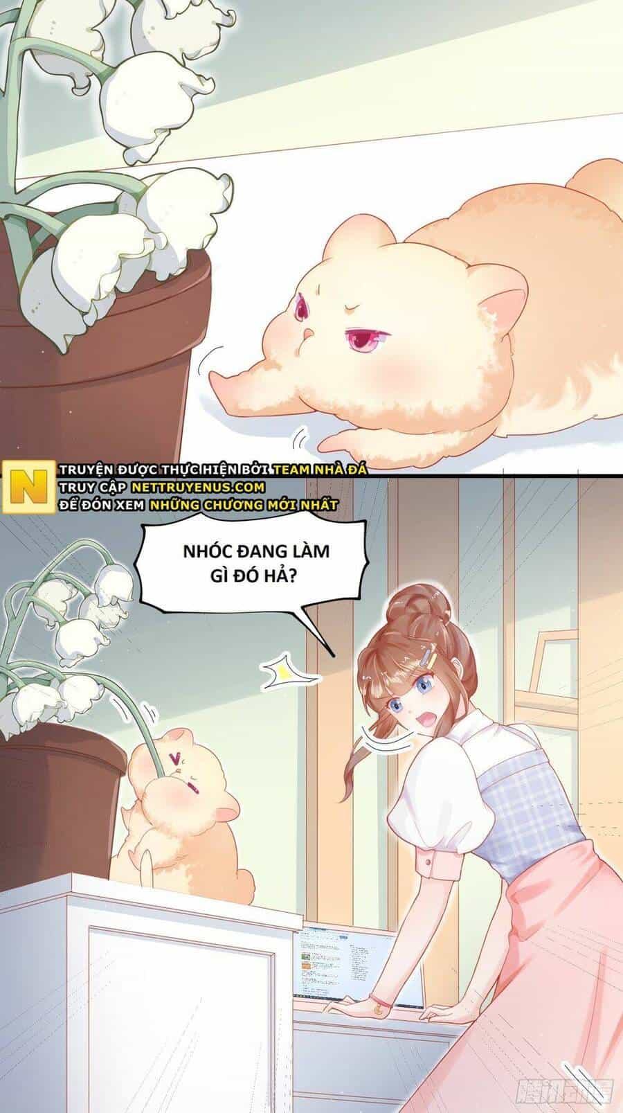 Bảo Điển Tình Yêu Của Hamster - Chương 1 - ảnh 19