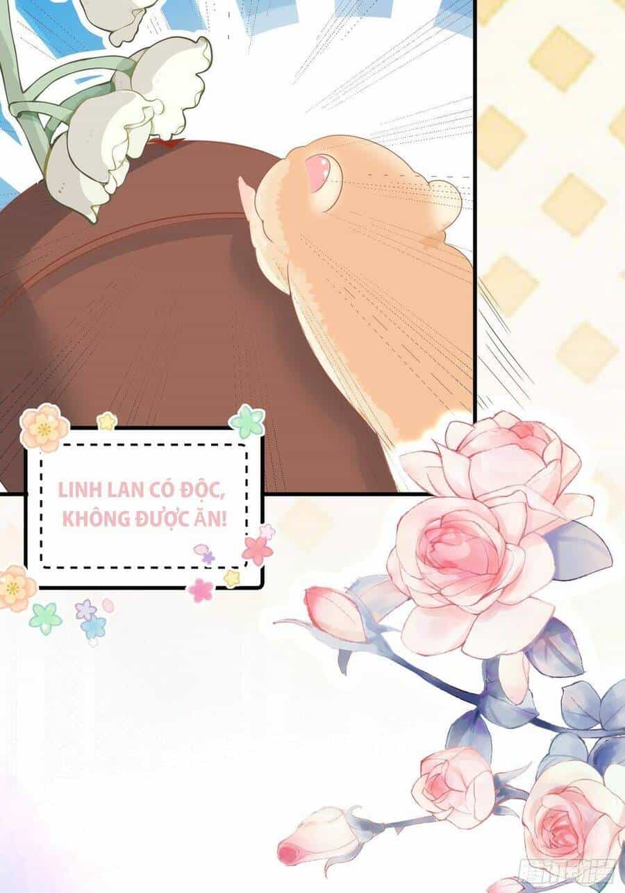 Bảo Điển Tình Yêu Của Hamster - Chương 1 - ảnh 26