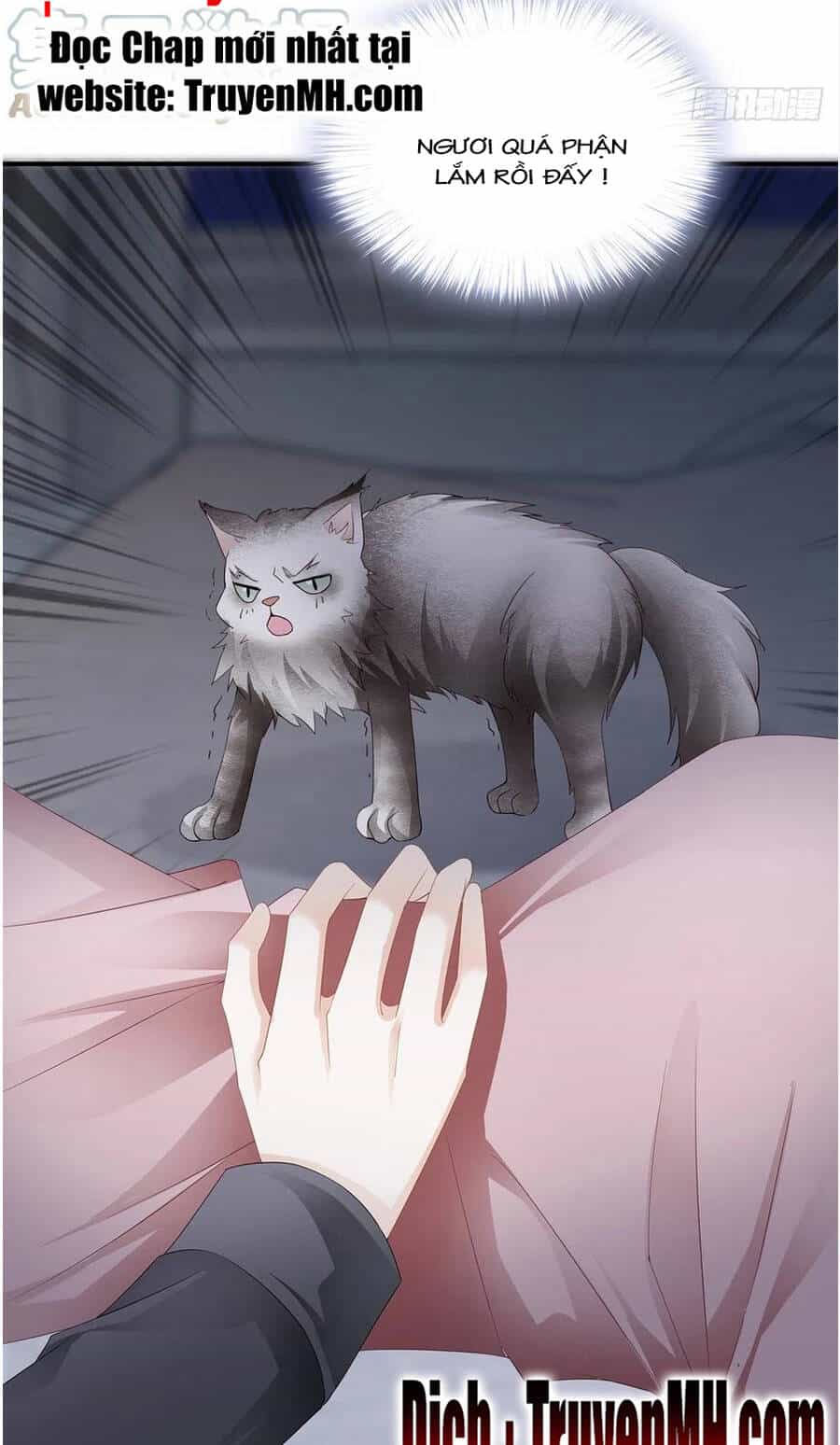 Bạo Quân Ái Nhân - Chương 67 - ảnh 12