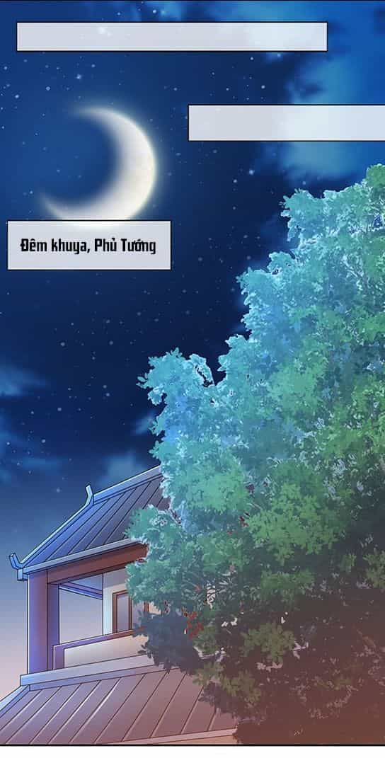 Bạo Quân Thử Yêu: Yêu Hậu Như Thử Đa Kiều - Chương 5 - ảnh 28