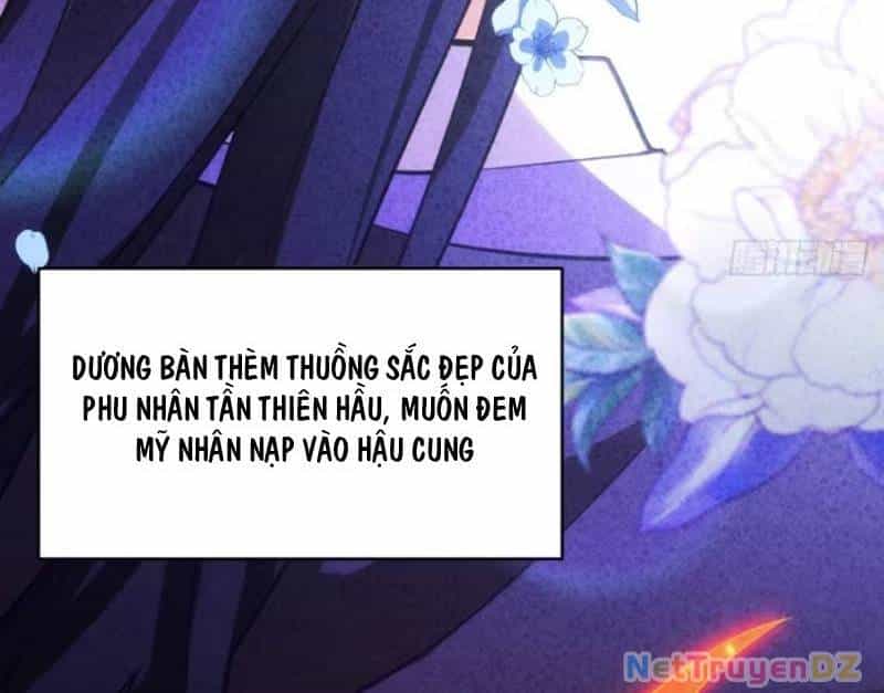 Bắt Đầu Đánh Dấu Hoang Cổ Thánh Thể - Chương 82 - ảnh 85