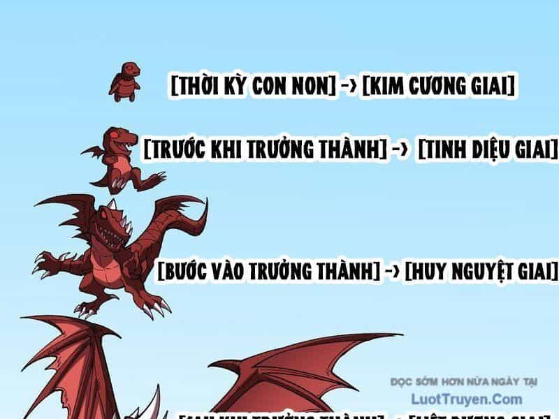 Bắt Đầu Kế Nhiệm Boss Hắc Long, Ta Vô Địch - Chương 82 - ảnh 7