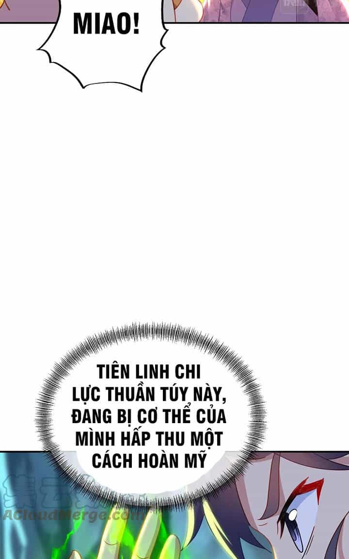 Bắt Đầu Quật Khởi Từ Làm Lô Đỉnh - Chương 46 - ảnh 24
