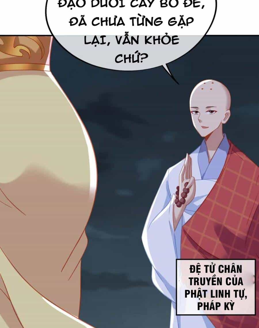 Bắt Đầu Quật Khởi Từ Làm Lô Đỉnh - Chương 69 - ảnh 42