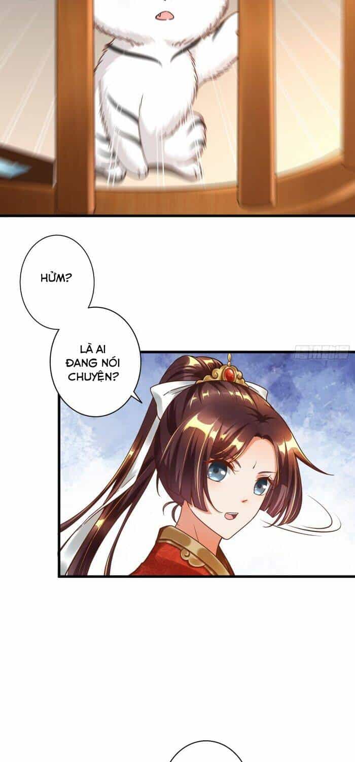 Bắt Đầu Từ Làm Ngón Tay Vàng - Chương 1 - ảnh 23