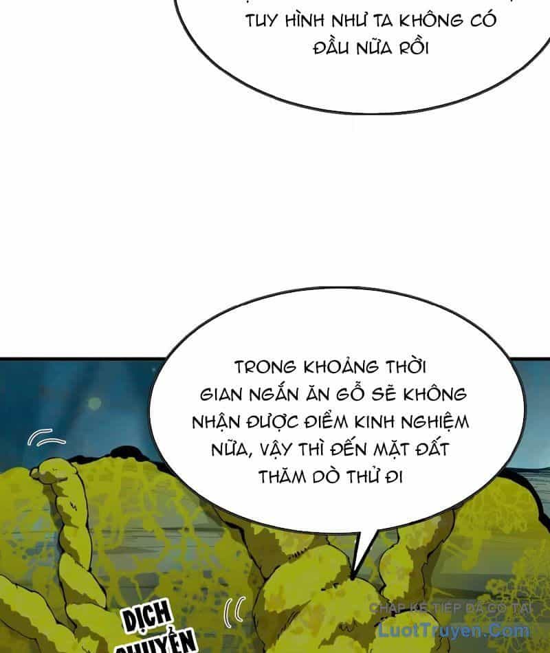 Bắt Đầu Từ Việc Trùng Sinh Thành Niêm Khuẩn - Chương 1 - ảnh 38