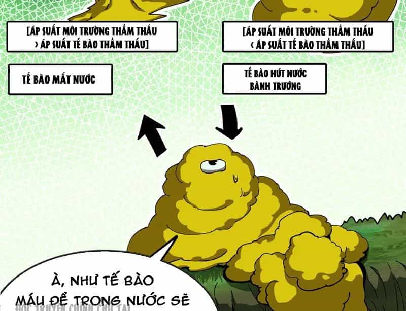 Bắt Đầu Từ Việc Trùng Sinh Thành Niêm Khuẩn - Chương 5 - ảnh 19
