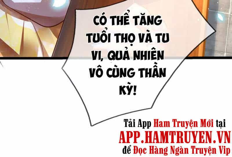 Bắt Đầu Với Chí Tôn Đan Điền - Chương 65 - ảnh 2
