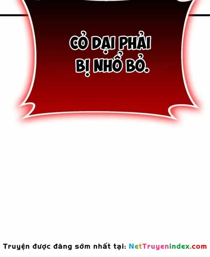 Bắt Đầu Với Hệ Thống Lập Tông - Chương 31 - ảnh 180