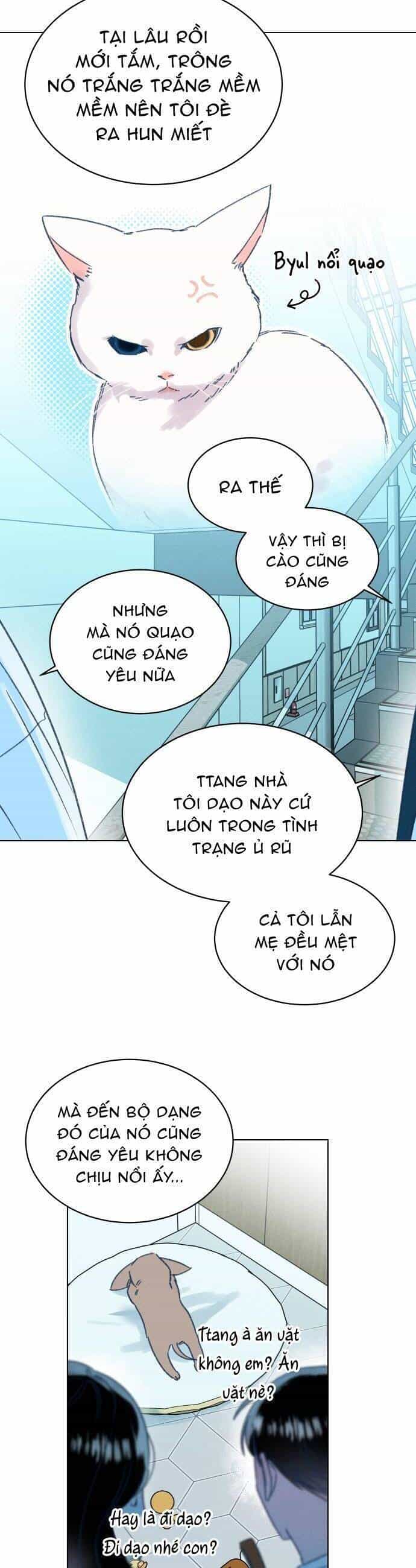 Bầu Trời Mùa Hạ Dấu Yêu - Chương 16 - ảnh 14