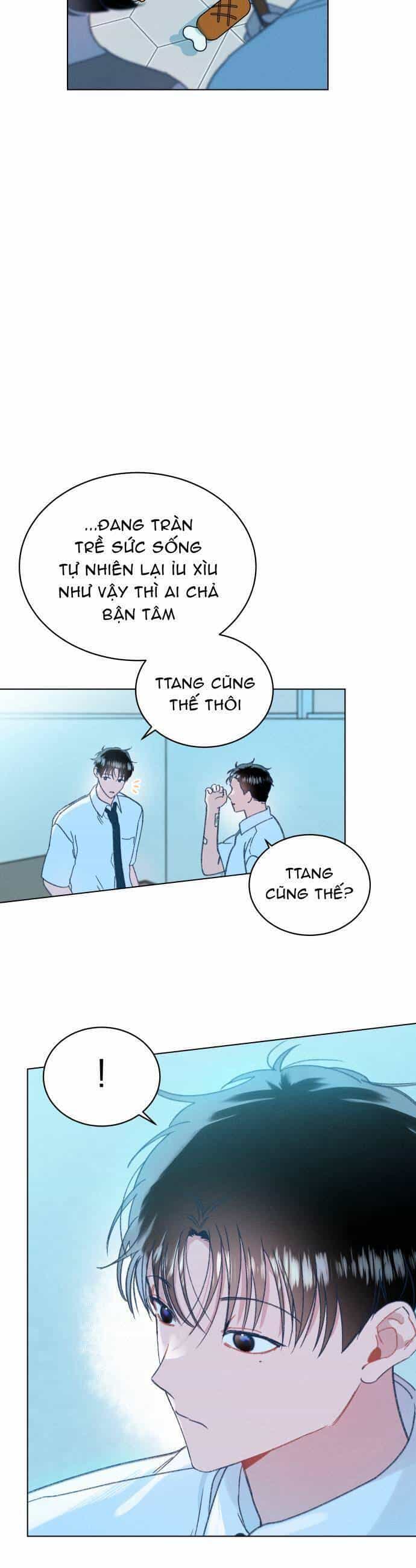 Bầu Trời Mùa Hạ Dấu Yêu - Chương 16 - ảnh 15