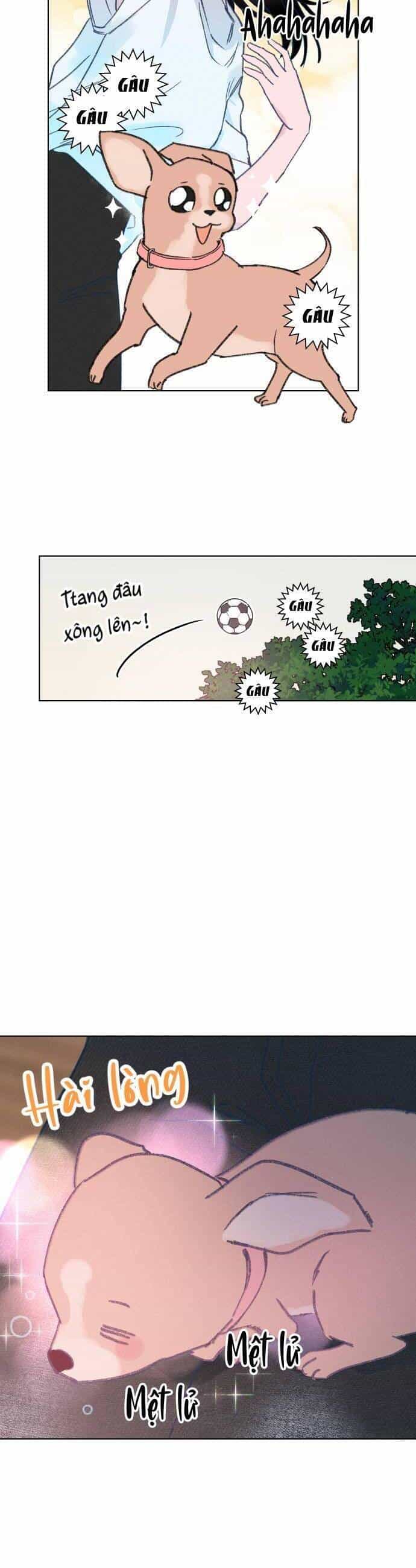 Bầu Trời Mùa Hạ Dấu Yêu - Chương 16 - ảnh 30