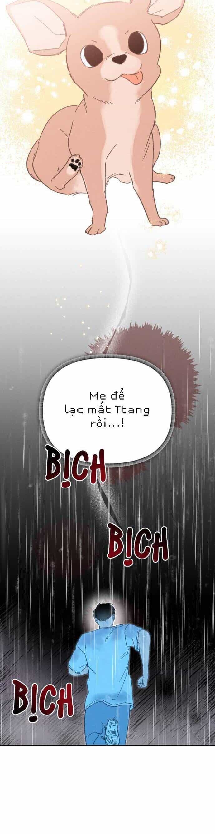 Bầu Trời Mùa Hạ Dấu Yêu - Chương 33 - ảnh 38